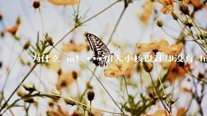 为什么 m1 ***用大小核设计却没有 intel 的问题？